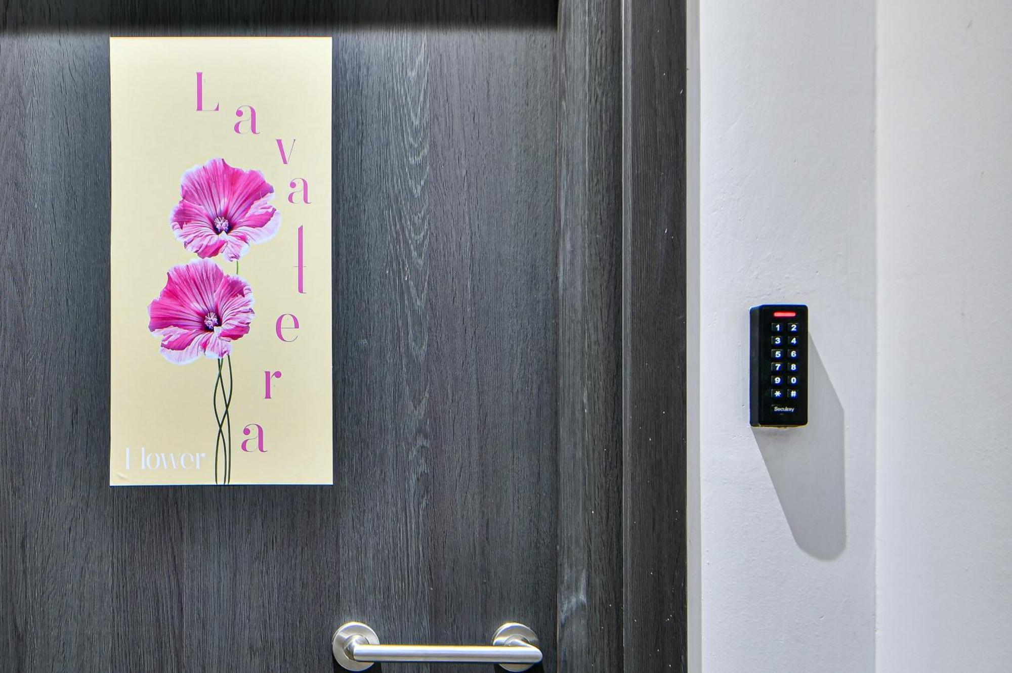 Flowers Of Apartment